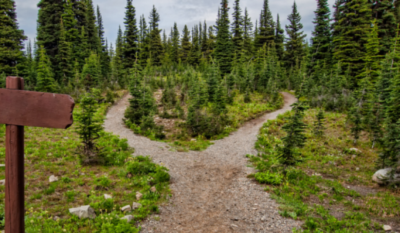 Blog Directe instructie versus onderzoeken leren.png