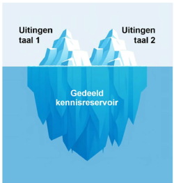 Ijsbergmodel naar Cummings 1981
